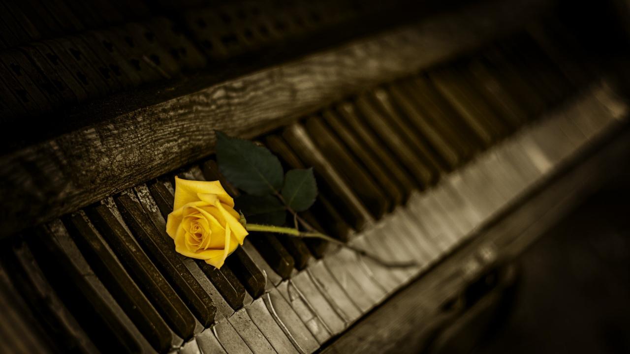 1920x1080 Preview wallpaper piano, rose, keys 1920x1080